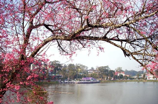 Ana Hotel Da Lat Zewnętrze zdjęcie